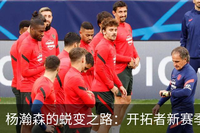 杨瀚森的蜕变之路：开拓者新赛季的“中锋大作战
